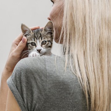 Solicitud de certificado de bautismo en Ceuta